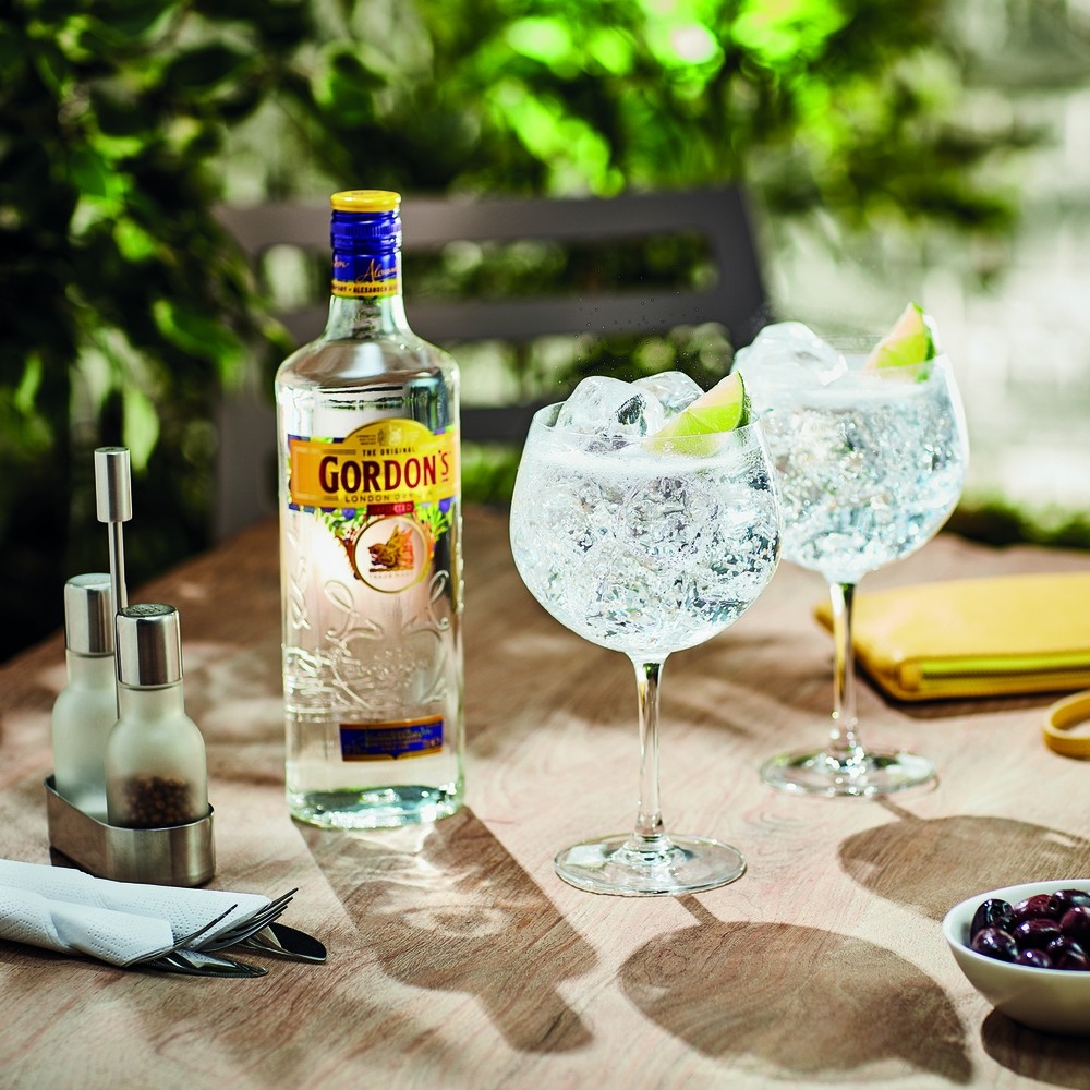 GORDONS GIN 1L