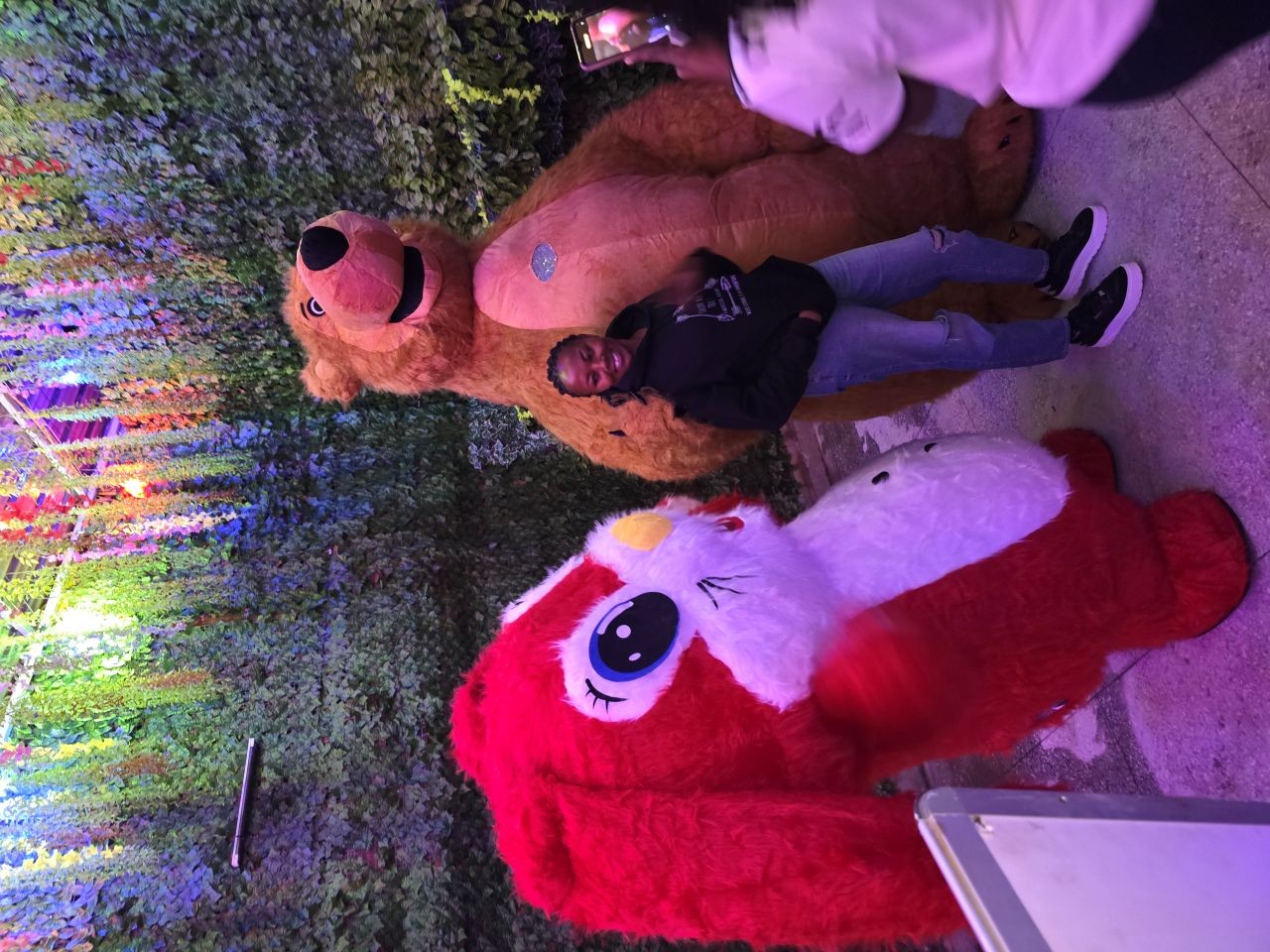 Echo Vibes: Where Fun Meets Whimsy