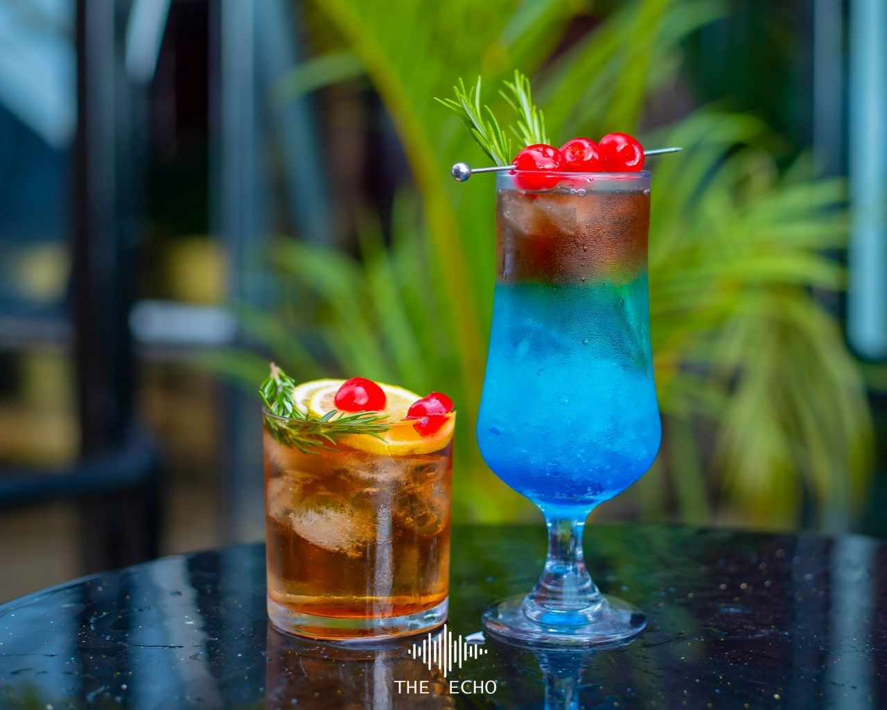 Signature Sips: Cocktails That Define the Echo Experience