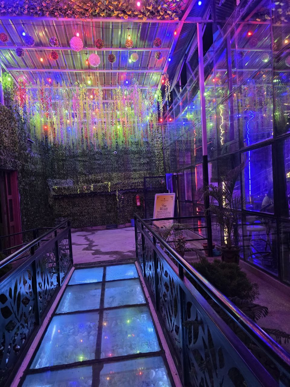 Echo Nights: Ambience That Speaks Louder