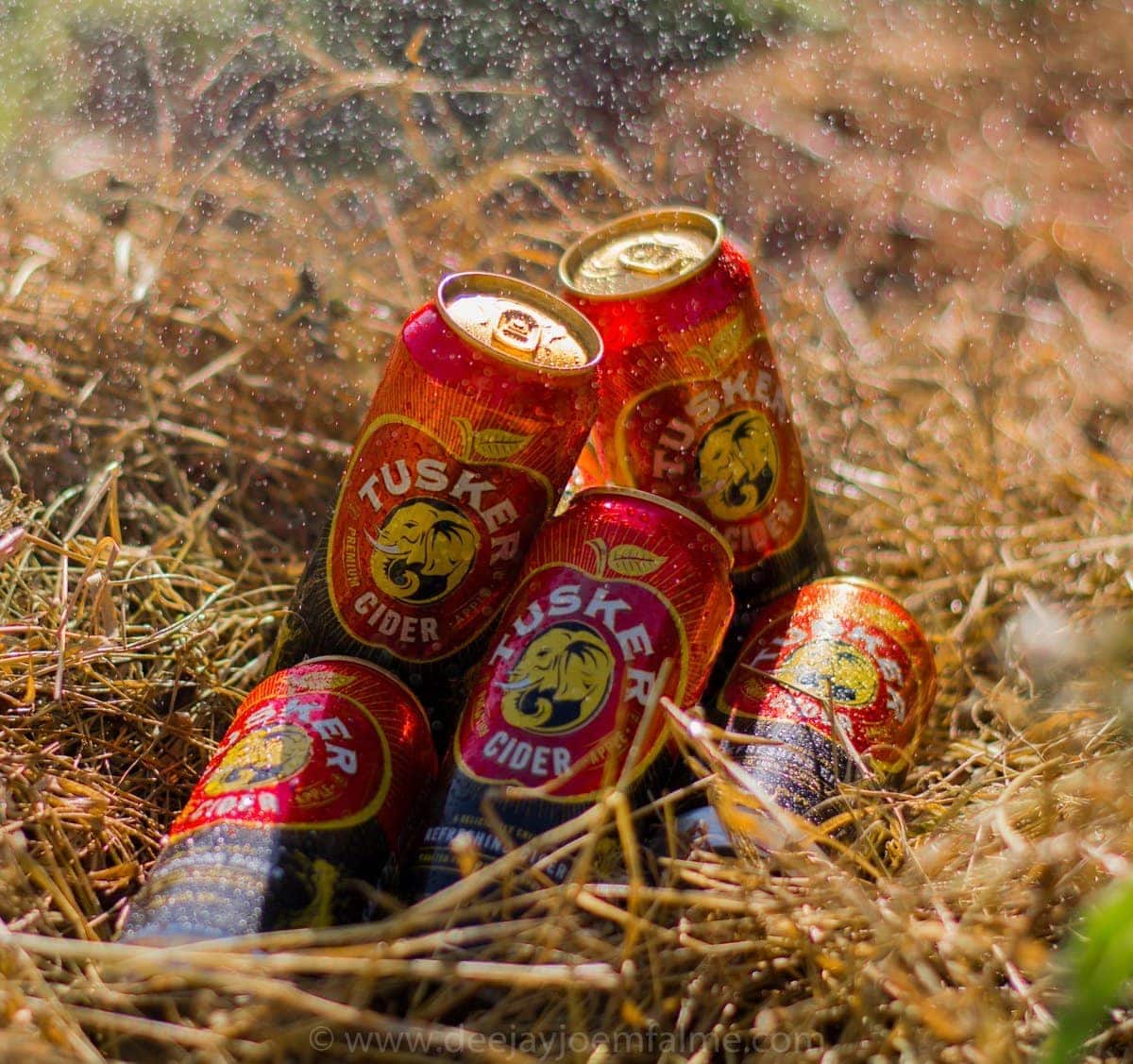 TUSKER CIDER CAN